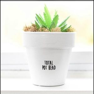 4in. Terracotta Plant Pot w/ Holder